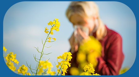 Heuschnupfen & allergischer Schnupfen